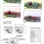 2011-06-03_103442