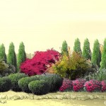 IS_rabata_3_l